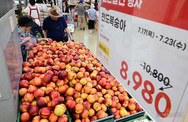 최근 계속되는 무더위와 폭우로 과일 가격이 폭등한 가운데 18일 오후 서울 서초구 하나로마트 양재점에서 시민들이 과일을 고르고 있다.  이상섭 기자