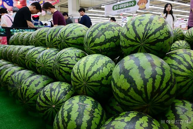 최근 계속되는 무더위와 폭우로 과일 가격이 폭등한 가운데 18일 오후 서울 서초구 하나로마트 양재점에서 시민들이 과일을 고르고 있다.  이상섭 기자