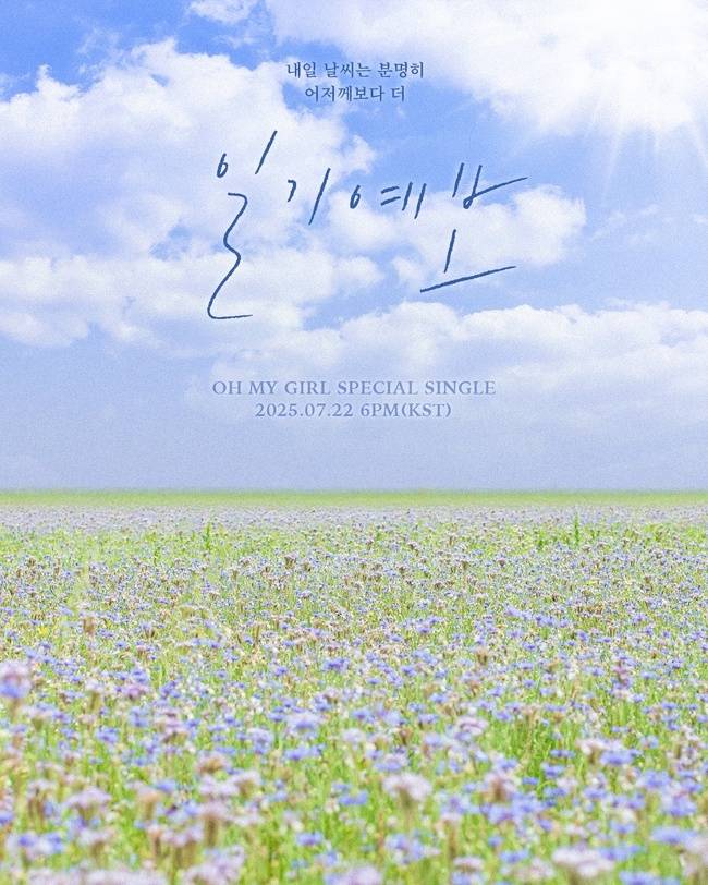 알비더블유, WM엔터테인먼트 제공