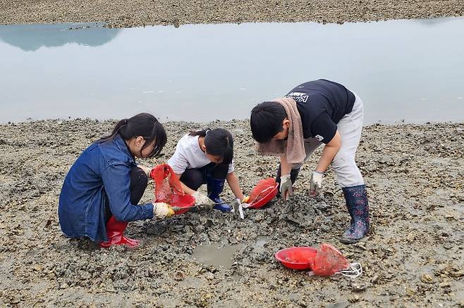 농촌체험휴양마을 갯벌체험. 전라남도 제공