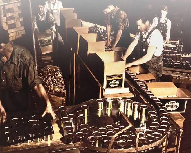 델몬트 푸드 홈페이지