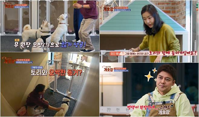 ‘집나가면 개호강’ 호강토 3형제 교육 (사진: JTBC)