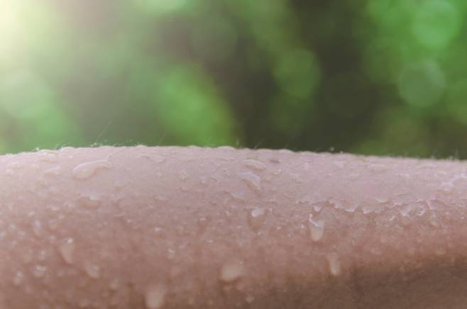 피부표면에 땀이 고인 모습. 게티이미지뱅크 제공