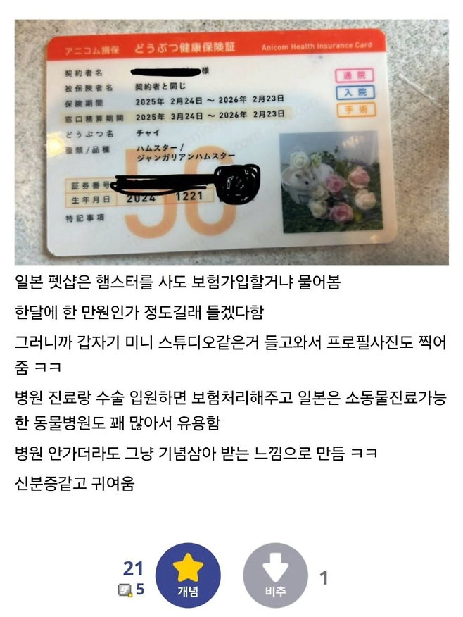 image.png 일본에서 햄스터를 사면 들수있는 보험