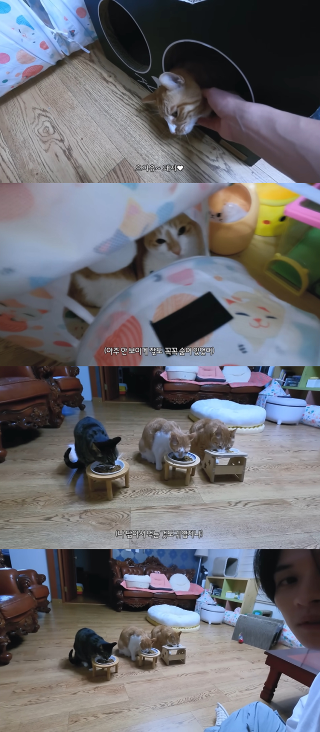 집에 도착하자마자 순둥도리를 찾는 리노 youtube@[SKZ VLOG] 리노(Lee Know) : LEE KNOW LOG 10