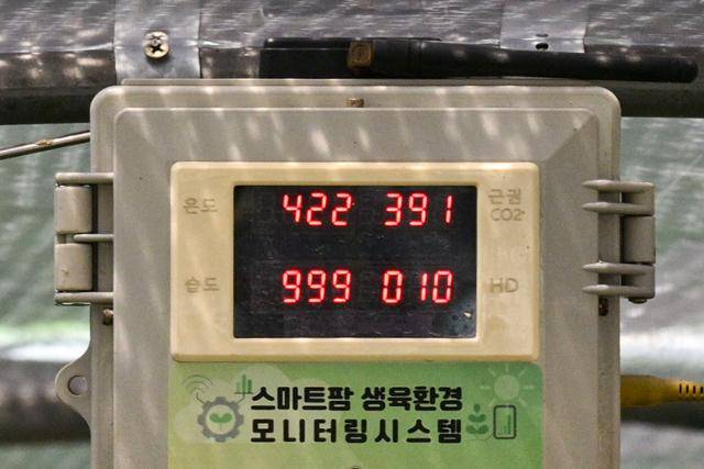 지난 9일 경기 포천시에 위치한 부추 농장에 설치된 온도계에 내부 온도가 42.2도로 표출되고 있다. 포천=최주연 기자