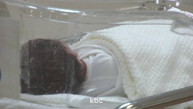 ▲ 자료이미지&nbsp;