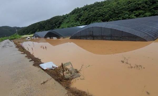 폭우와 산사태가 발생한 19일 경남 산청군 신등면 딸기 하우스가 침수됐다  연합뉴스