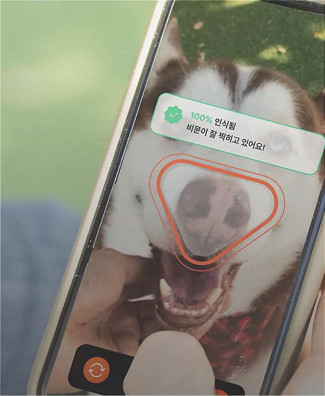 [사진출처 = 펫나우]