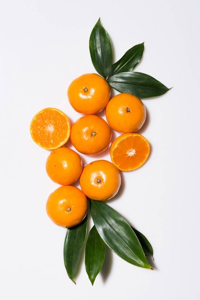 귤 이미지. 아이클릭아트