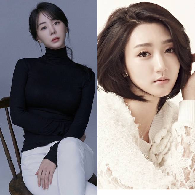 /사진=모던베리코리아