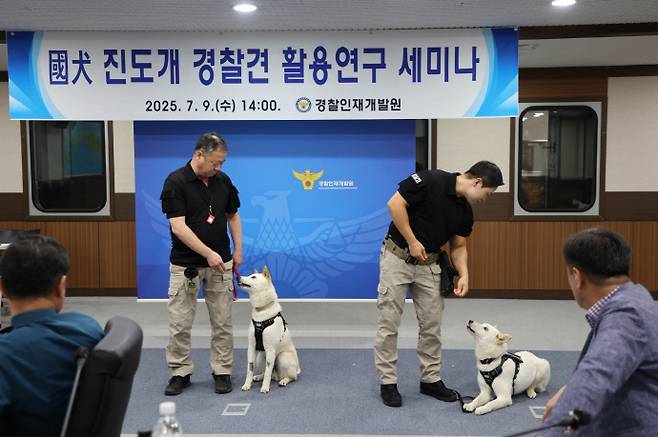 전남 진도군은 최근 경찰인재개발원에서 열린 '진도개 경찰견 활용연구 중간 보고회'에서 진도개가 특수목적견으로서 활동할 수 있는 가능성을 확인했다./진도군 제공