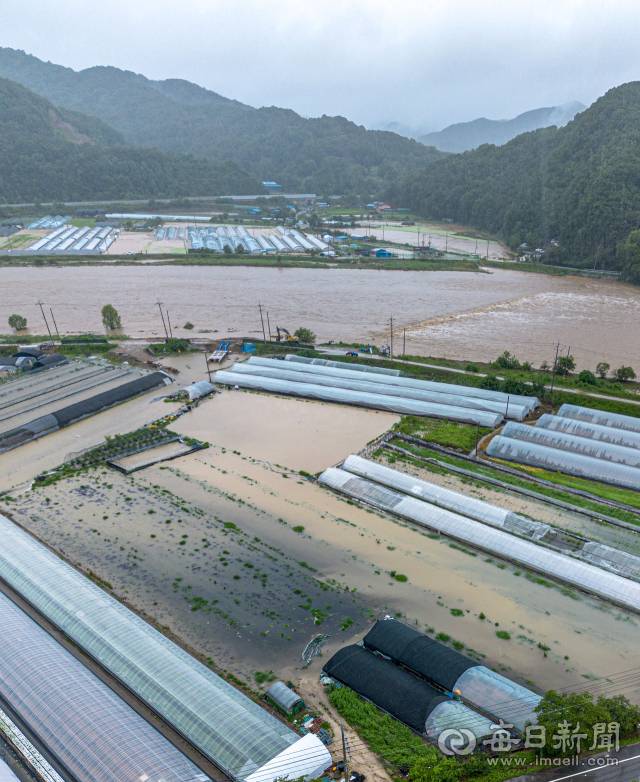 경남 산청, 합천 지역에 기록적인 폭우가 내린 19일 인접 지역인 고령군 신곡리 일대 비닐하우스 논밭이 인근 안림천 범람으로 침수, 초토화 된 모습이다. 이날 산청, 합천, 창녕 지역에 사상 유례없는 폭우로 전 군민 대피령이 발령되기도 했다. 안성완 기자 asw0727@imaeil.com