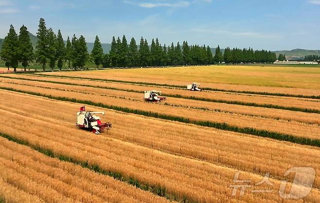 (평양 노동신문=뉴스1) = 북한 노동당 기관지 노동신문은 20일 "위대한 조선로동당이 펼친 농촌진흥의 새시대에 나라의 농업생산방향이 전환되는 대변혁이 일어나고 지속적이며 안정적인 장성을 담보하는 물질 기술적 토대가 더욱 강화되고 있다＂고 보도했다. [국내에서만 사용가능. 재배포 금지. DB 금지. For Use Only in the Republic of Korea. Redistribution Prohibited] rodongphoto@news1.kr