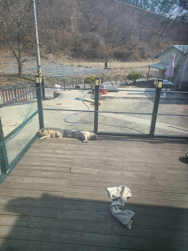 열심히 사시고 귀농하신 부모님 본가 자랑