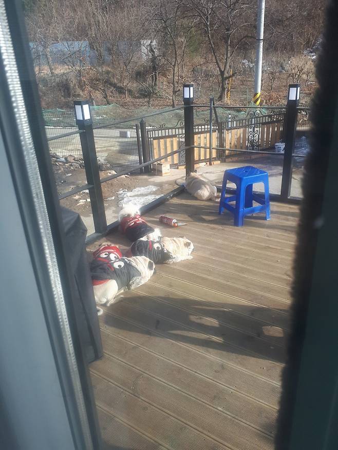 열심히 사시고 귀농하신 부모님 본가 자랑