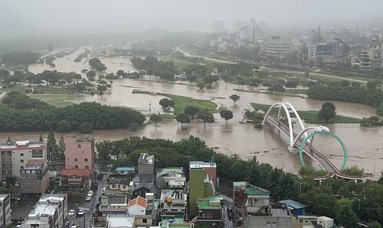 19일 내린 폭우로 울산시 남구 태화강 국가정원 둔치 일대가 물에 잠겨 있다. 뉴스1 ((독자 제공)