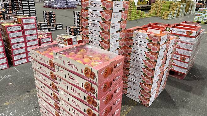 Crates of different peaches up for auction at Garak Market in southern Seoul. [WOO JI-WON]