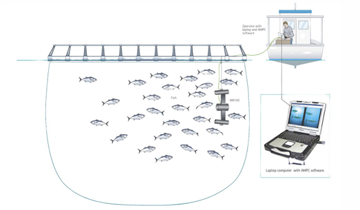 AQ1시스템즈의 참치 계측 시스템 개요도.