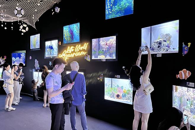 아쿠아리움 하노이 이벤트수조를 관람하는 현지 관람객들의 모습
