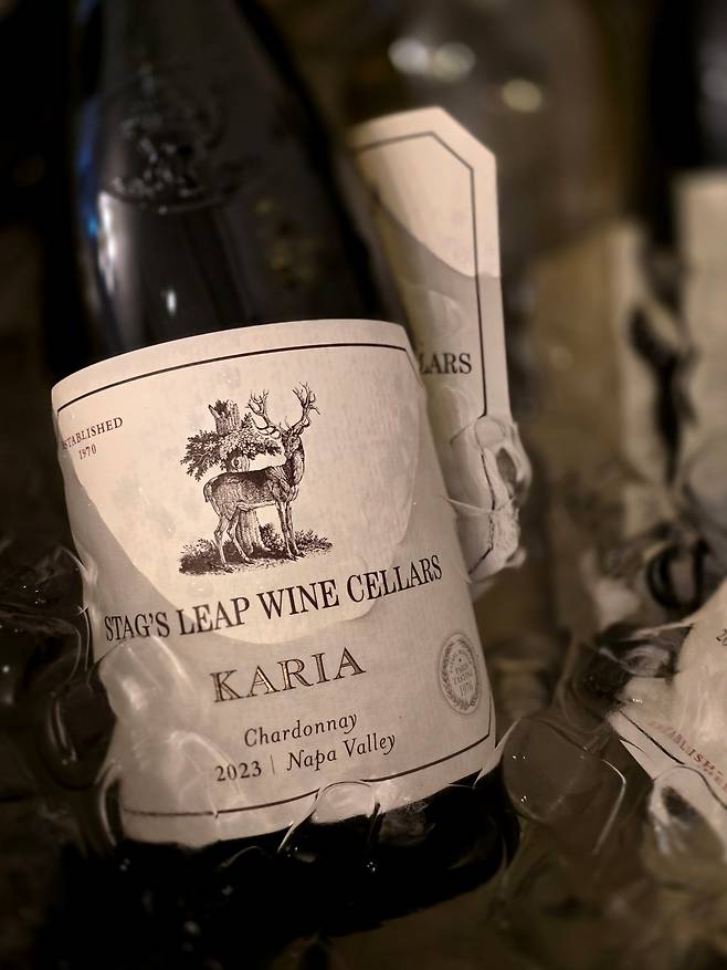 스택스 립 카리아.&nbsp;최현태 기자