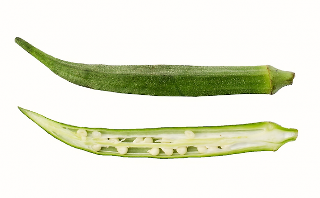 오크라 관련 이미지. 위키피디아