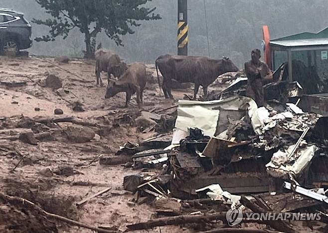 산청군 산사태 주민·소 대피 (산청=연합뉴스) 19일 경남 산청군 산청읍 부리 마을에 일부 주택이 파손해 주민과 소가 대피하고 있다. 2025.7.19 [독자 김규리 씨 제공. 재판매 및 DB 금지] image@yna.co.kr