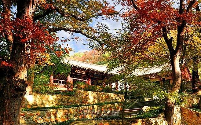 황해북도 정방산유원지 (서울=연합뉴스) 재일본조선인총연합회 기관지 조선신보는 20일 '정방산을 찾는 관광객들의 희열' 기사에서 자사 기자가 북한 관광업체인 모란봉관광사의 손님들과 동행해 정방산유원지를 여행한 취재기를 실었다. 매체는 정방산성과 성불사 등 관광 포인트를 상세히 소개했다. 2025.7.20 [조선신보]