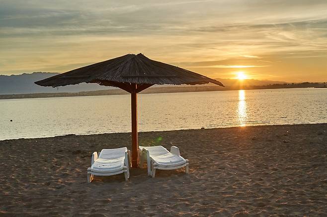 해변가의 파라솔