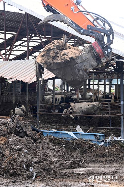 지난 20일 새벽에 내린 집중호우로 가평군 일대가 큰 수해 피해를 입은 가운데, 21일 가평 지역 곳곳에서 복구 작업이 진행되고 있다. 2025.7.21 /최은성기자 ces7198@kyeongin.com