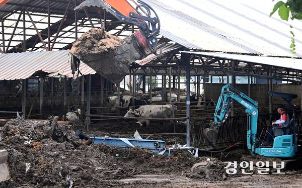 가평군 일대가 집중호우와 산사태로 인해 인명피해를 입는 등 큰 피해가 잇따랐다. 21일 수해 피해를 입은 가평군 곳곳에서 복구 작업이 진행되고 있다. 사진은 포클레인이 부서진 축사 잔해를 치우는 모습. 2025.7.21 /최은성기자 ces7198@kyeongin.com