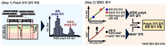 연구 개요도. 아주대학교 제공.