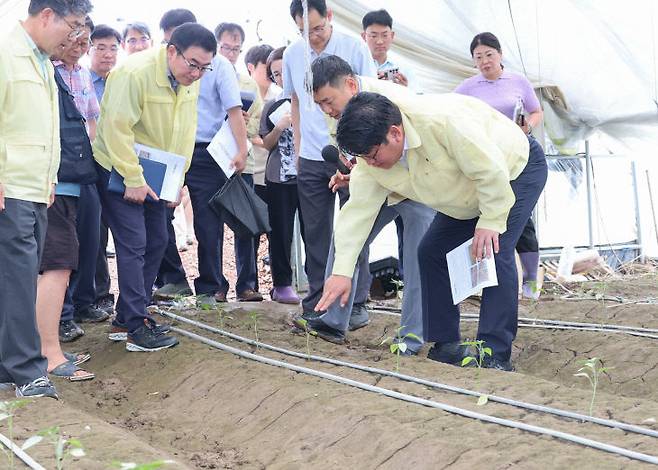나주시 침수 피해 현장을 점검 중인 권재한 청장. 사진=농진청 제공.