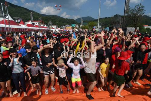 ◇화천토마토축제가 오는 8월1~3일 사내면 문화마을 일대에서 열린다. 사진은 지난해 토마토축제에서 진행된 ‘황금반지를 찾아라’ 이벤트 모습.