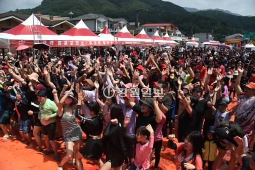 ◇화천토마토축제가 오는 8월1~3일 사내면 문화마을 일대에서 열린다. 사진은 지난해 토마토축제에서 진행된 ‘황금반지를 찾아라’ 이벤트 모습.