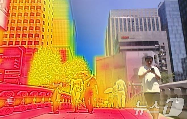 자료사진./뉴스1