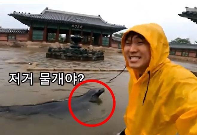 생성형 인공지능(AI)으로 만든 영상. 유튜브 채널 '골파닭'