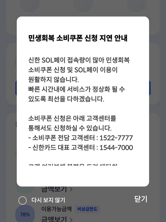 신한 SOL페이 민생회복 소비쿠폰 신청 지연 안내. [최정서 기자]