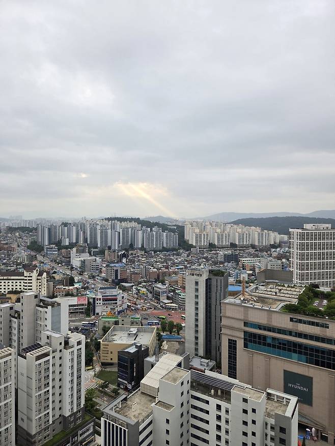 20250721_064505.jpg 나도 오전에 지리는거 찍음