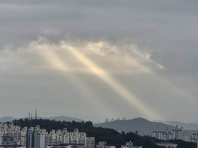 20250721_064522.jpg 나도 오전에 지리는거 찍음