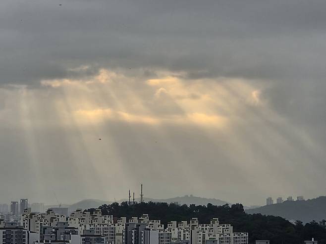 20250721_064714.jpg 나도 오전에 지리는거 찍음