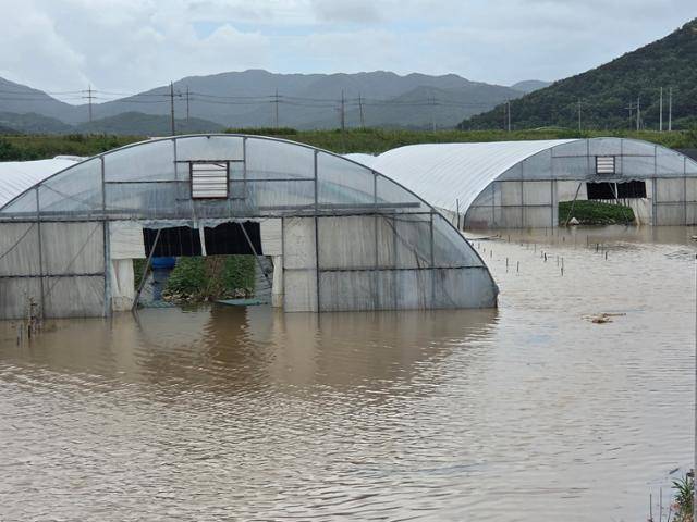 19일 전남 영광군 군서면 비닐하우스가 폭우에 침수돼 있다. 연합뉴스