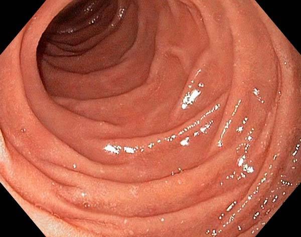 사진=클립아트코리아