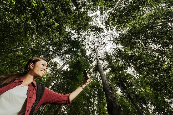 사진= 말레이시아 관광청