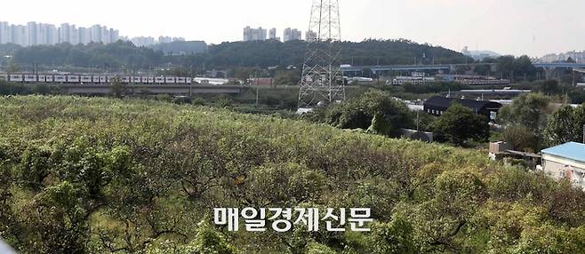 경기도 남양주 왕숙 지구 일대 전경 [매경DB]