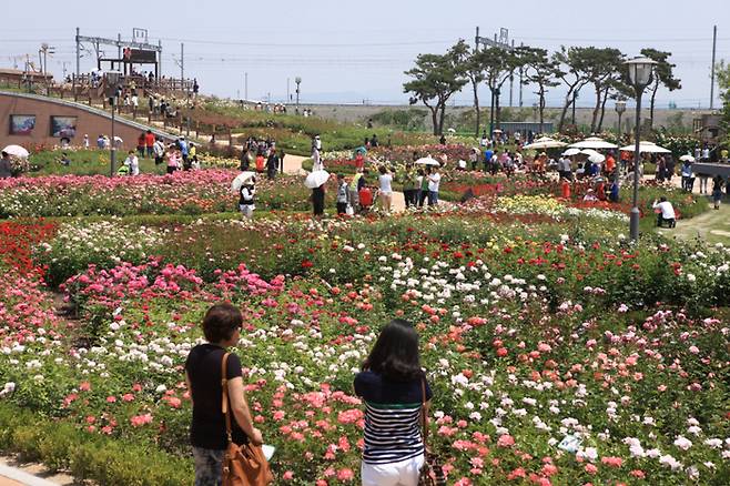 곡성 장미정원 / 사진 = 전남도