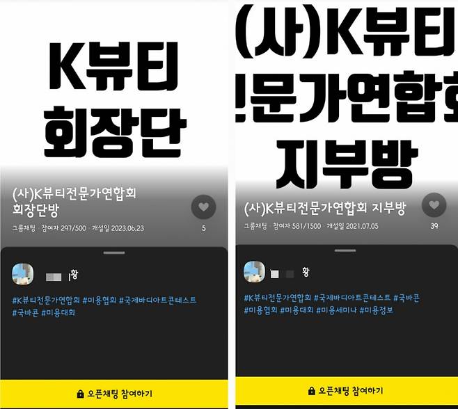 산업통상자원부에서 인가받은 사단법인 케이뷰티전문가연합회의 회장단(왼쪽)과 지부 오픈채팅방. 회장이 되려면 300만원, 지부에 가입하려면 100만원을 내야 하는데, 각각 297명과 581명이 입장해있다. 본지 취재가 시작되자 해당 오픈채팅방은 지난 27일 사라졌다. /사진=해당 오픈채팅방 대표 이미지.