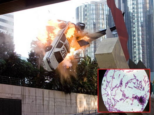 영화 ‘다이하드4’ 스틸컷과 탄저균. [네이버 영화, 헤럴드DB]