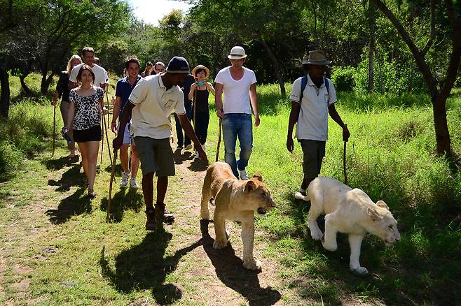 모리셔스 인기 투어 코스 카젤라 파크. 사진제공|팜투어
