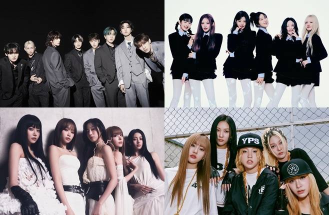 티브이데일리 포토